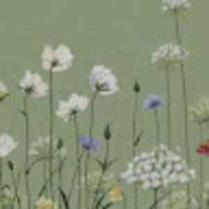 Meet your Posher, Camryn